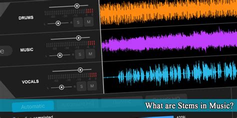 What Are Stems in Music: A Multi-Layered Exploration