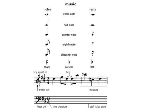 Whole Note Music Definition: Exploring the Depths of Musical Notes